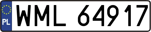 WML64917