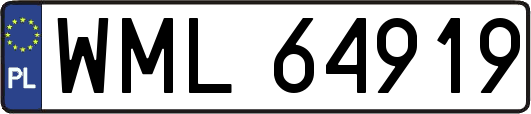 WML64919