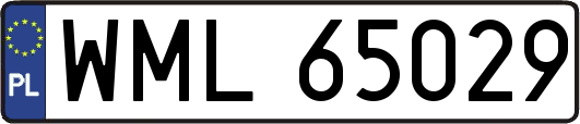 WML65029