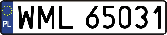 WML65031