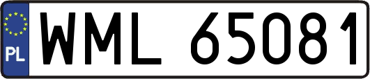 WML65081