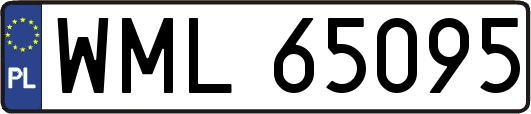 WML65095