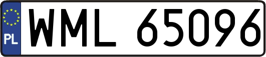 WML65096