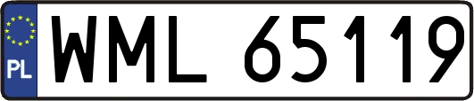 WML65119