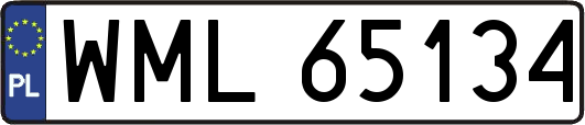 WML65134