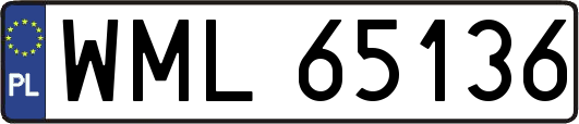 WML65136
