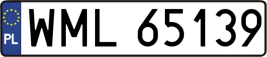WML65139