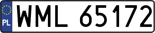 WML65172