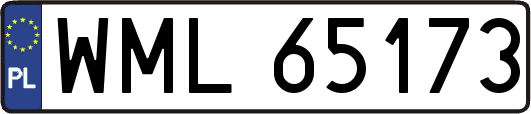 WML65173