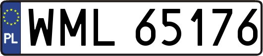 WML65176