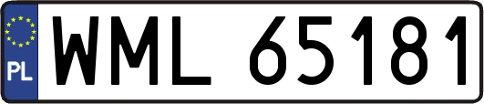 WML65181
