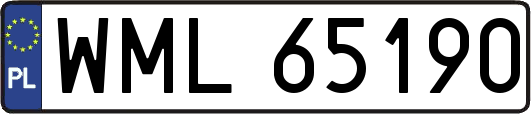 WML65190