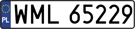 WML65229