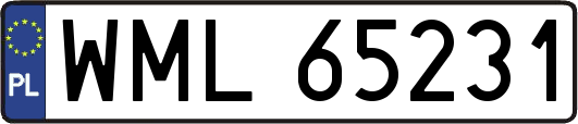 WML65231