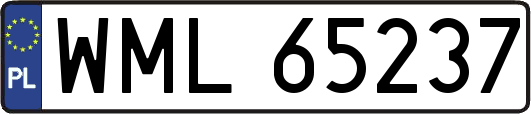 WML65237