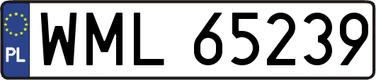 WML65239