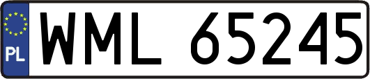 WML65245