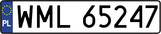 WML65247