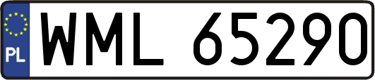 WML65290