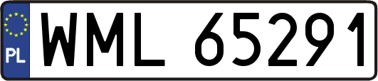 WML65291