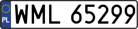 WML65299