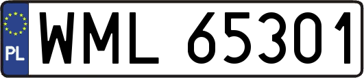WML65301