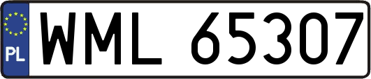 WML65307