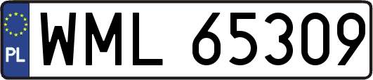 WML65309