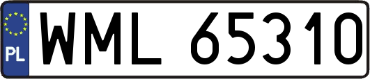WML65310