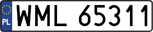 WML65311