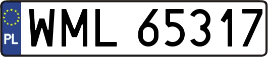 WML65317