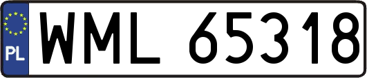 WML65318