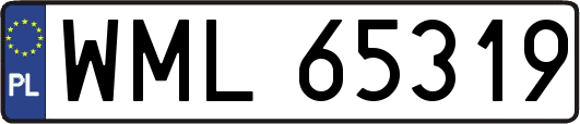 WML65319
