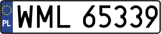 WML65339