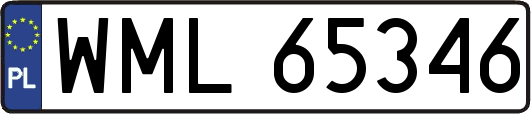 WML65346
