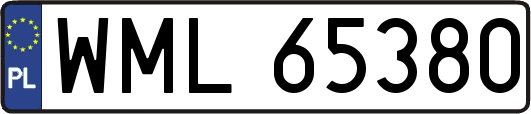 WML65380