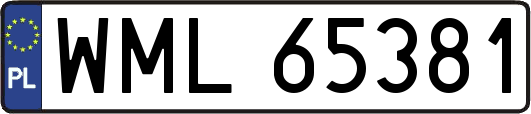 WML65381