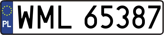 WML65387