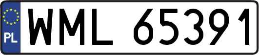 WML65391