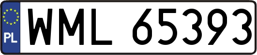 WML65393