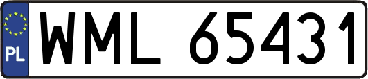WML65431