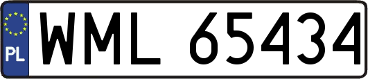 WML65434