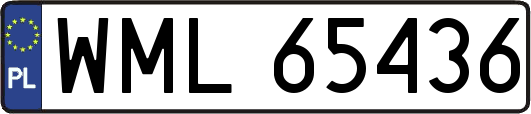 WML65436