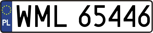 WML65446