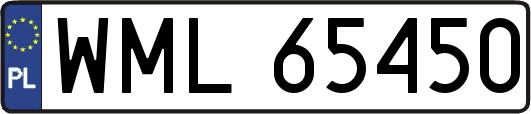 WML65450