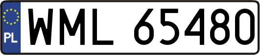 WML65480