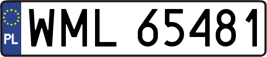 WML65481