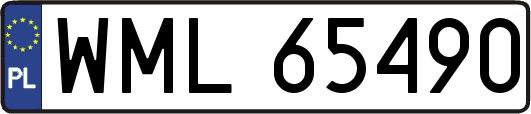 WML65490