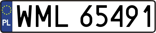 WML65491