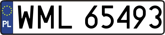 WML65493